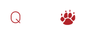 QTECH